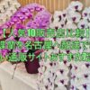 胡蝶蘭を名古屋へ配送できる安い通販サイトおすすめ7選