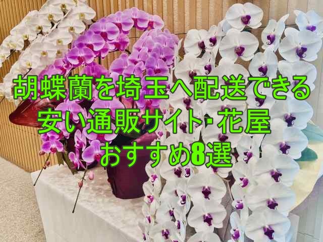 胡蝶蘭を埼玉へ配送できる安い通販サイト・花屋おすすめ8選