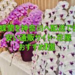 胡蝶蘭を神奈川へ配送できる安い通販サイト・花屋おすすめ7選